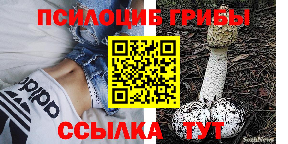Псилоцибиновые грибы GOLDEN TEACHER  Псилоцибиновые грибы ЛСД  Вход с VPN  Геленджик 
