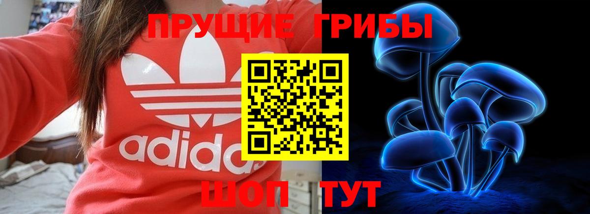 Галлюциногенные грибы мицелий Геленджик